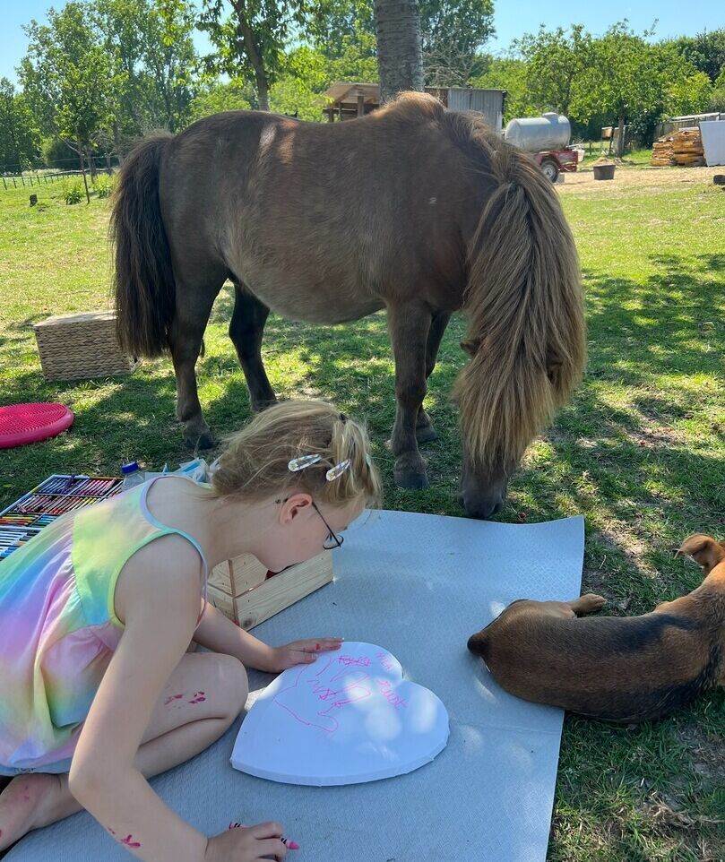 Kinder - en tienercoaching zonder paarden